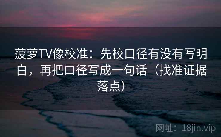 菠萝TV像校准：先校口径有没有写明白，再把口径写成一句话（找准证据落点）
