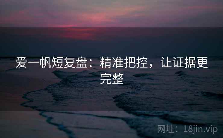 爱一帆短复盘：精准把控，让证据更完整  第2张